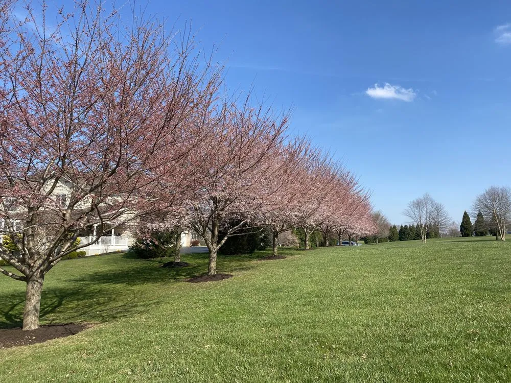 Reliable landscaping services near you in Cockeysville, MD by Green Source Lawn Care