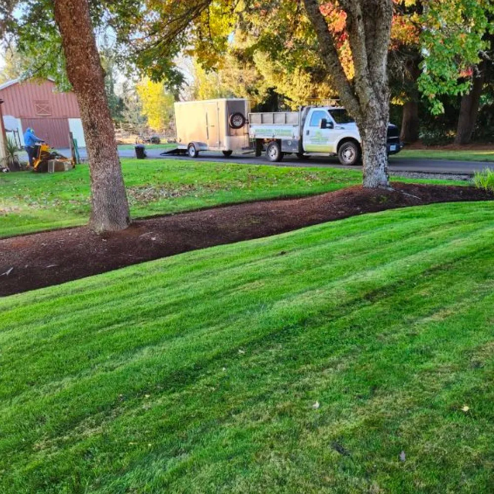 Professional yard cleanup service in Brooks, OR by Green Space Landscape