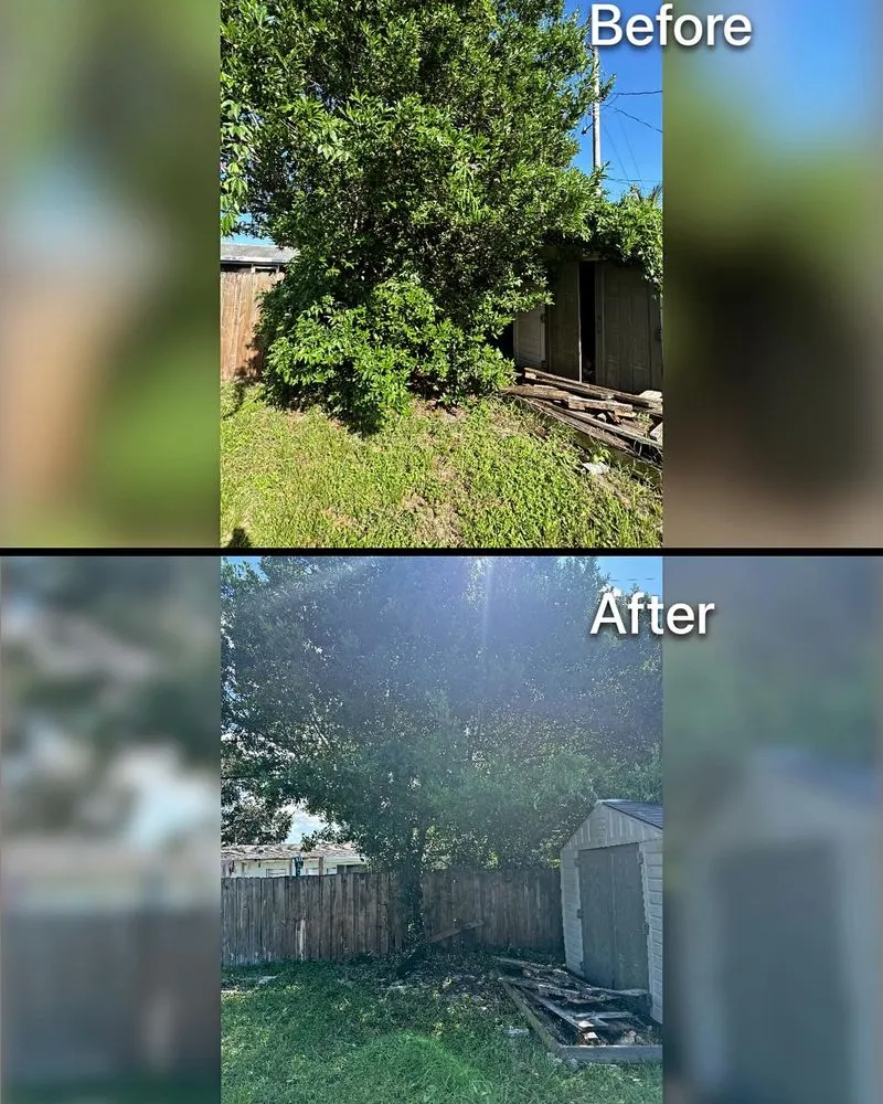 Top-rated yard cleanup service experts serving Melbourne, FL - Green Space Landscaping And Lawns