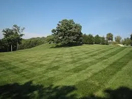 Green Space Mowing & Lawncare Logo