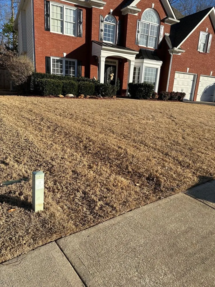 Affordable landscape installation for outdoor upgrades across Gainesville, GA - Green Spaces Consultants