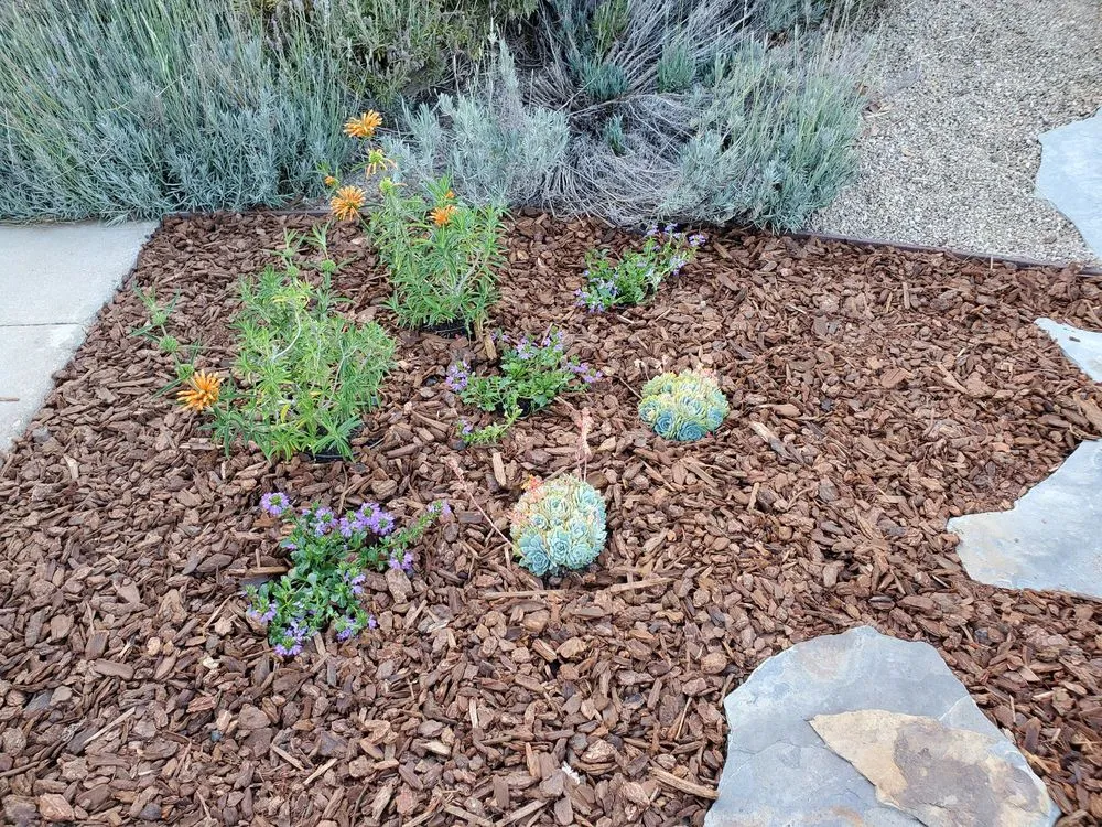 Affordable landscape installation experts serving Thousand Oaks, CA - Green Spaces Landscaping