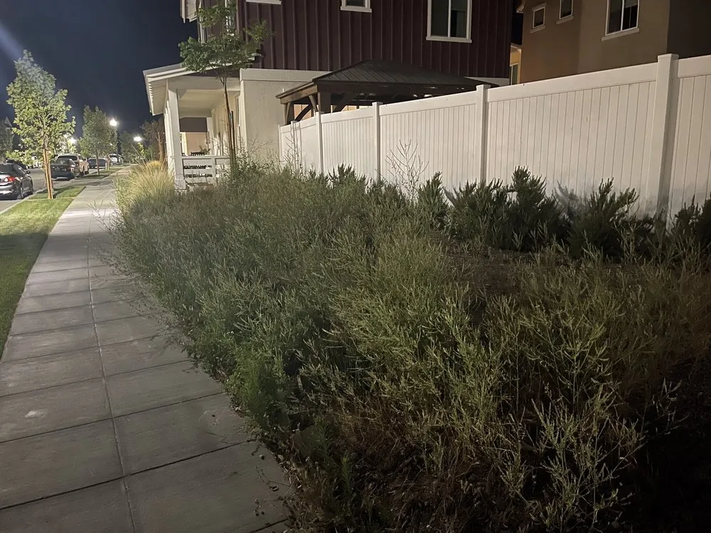 Reliable yard cleanup service in Thousand Oaks, CA by Green Spaces Landscaping