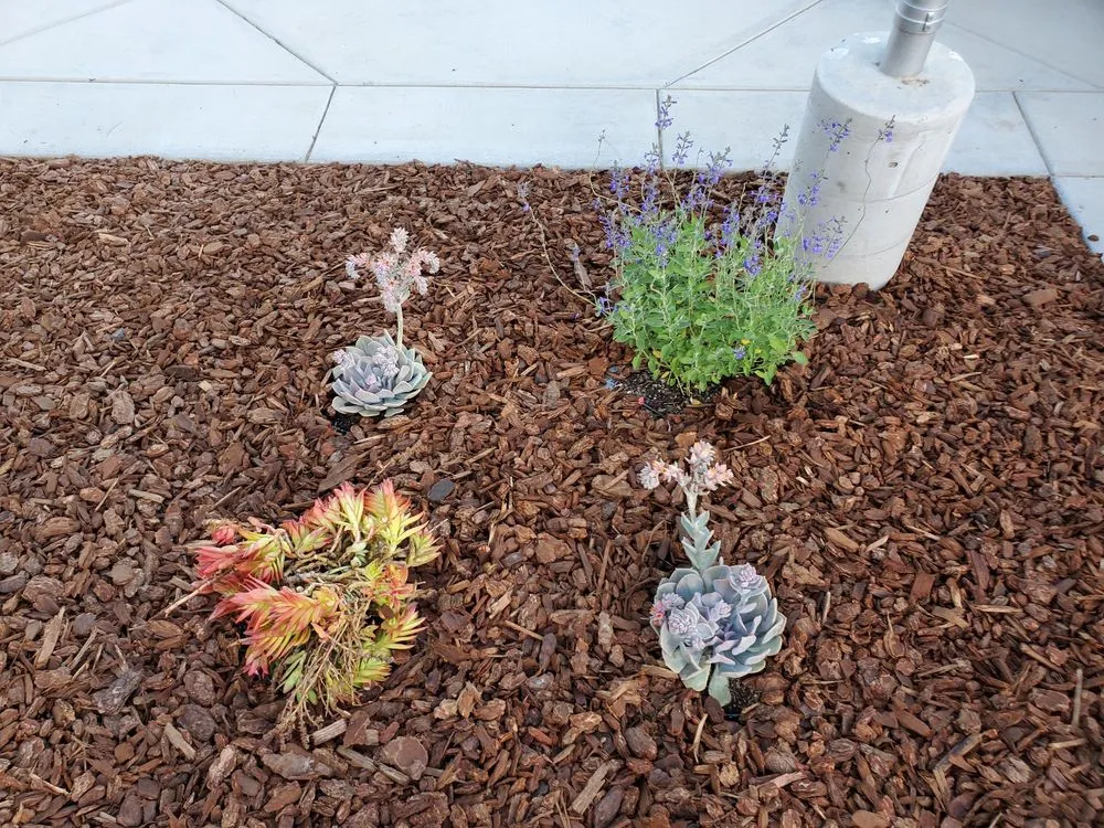 Expert lawn care service in Thousand Oaks, CA - Green Spaces Landscaping