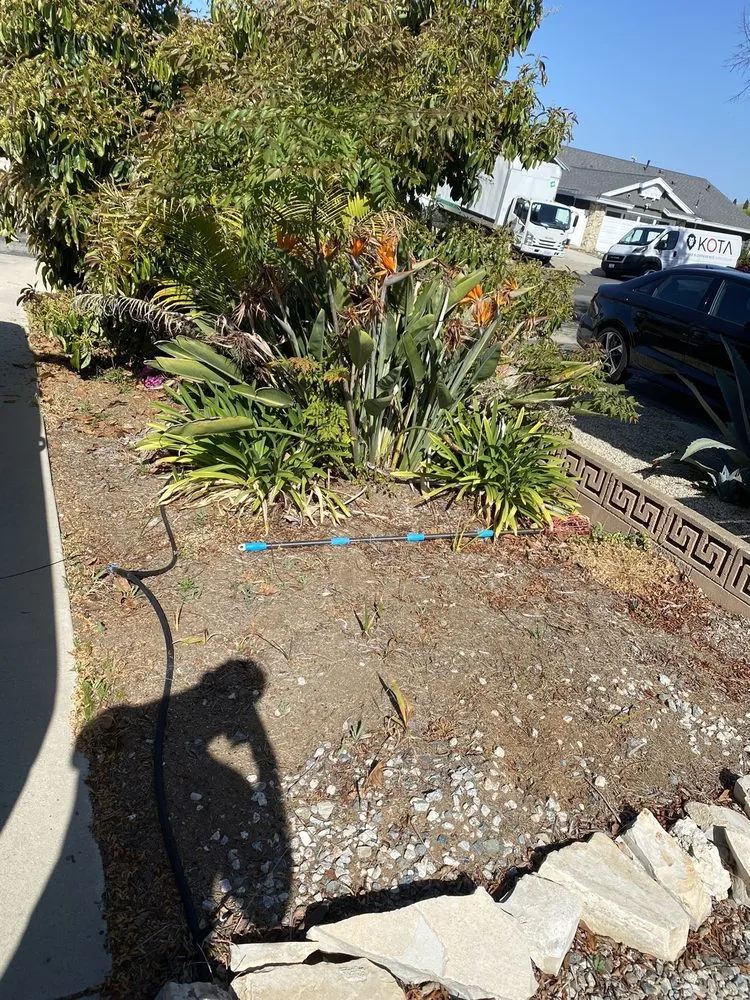 Professional yard maintenance in Thousand Oaks, CA by Green Spaces Landscaping