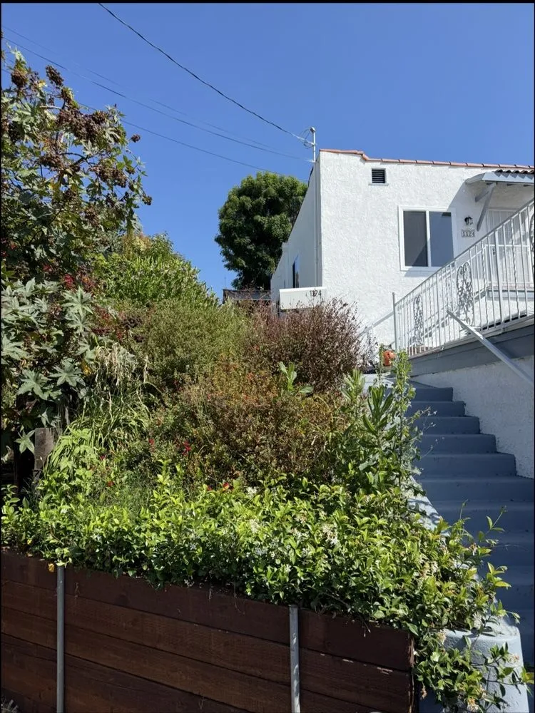 Trusted lawn care service for residential properties across Inglewood, CA - Green Spark