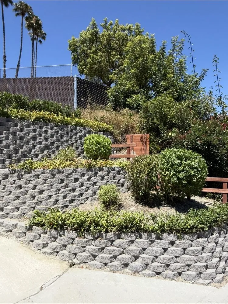 Expert residential landscaping in Inglewood, CA - Green Spark