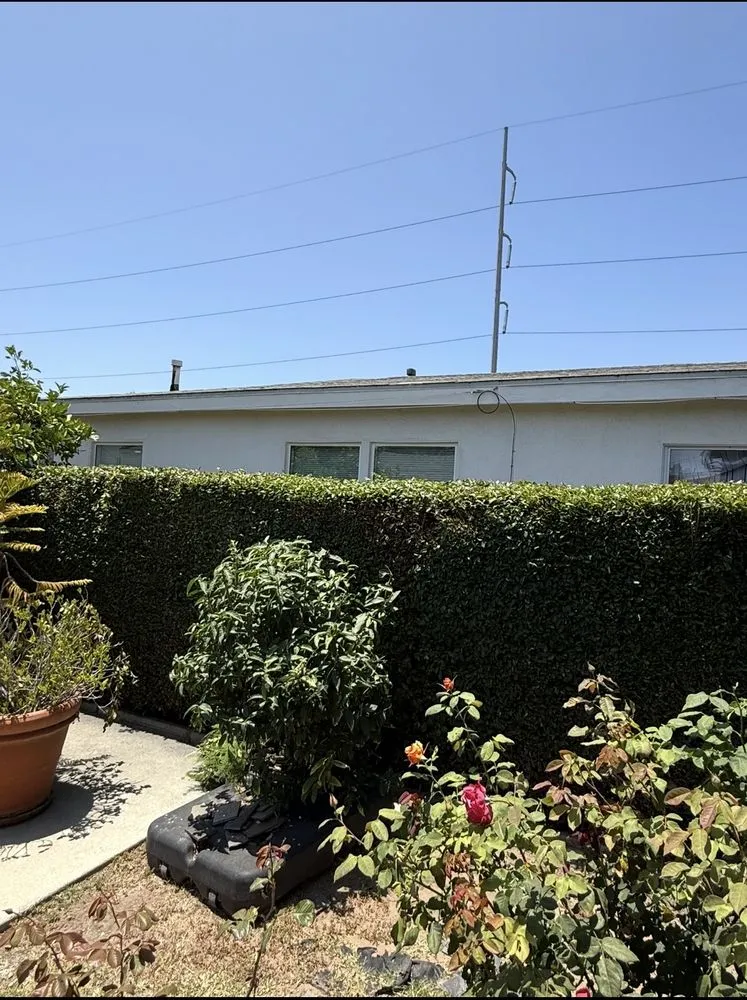 Local outdoor landscaping near you across Inglewood, CA - Green Spark