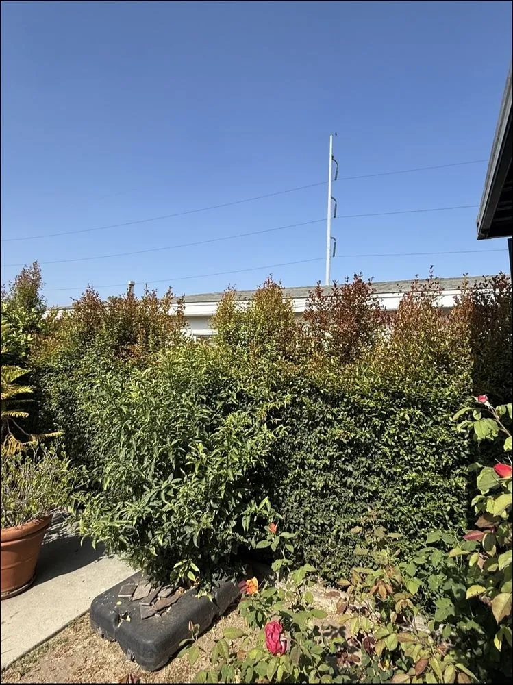 Custom lawn mowing service experts serving Inglewood, CA - Green Spark