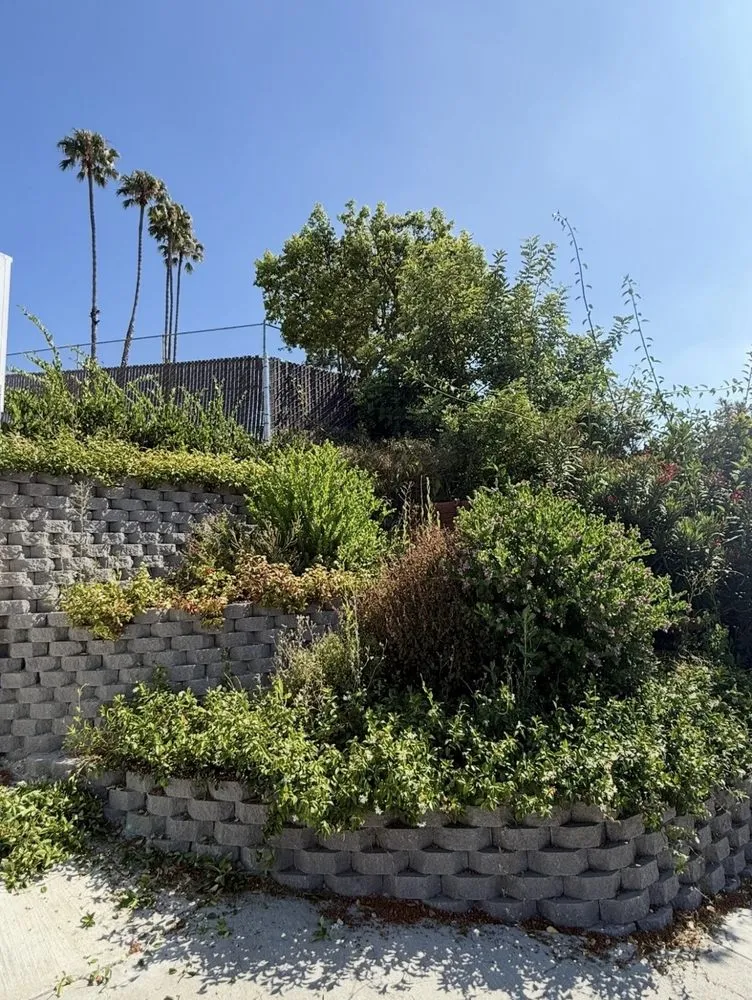 Local residential landscaping experts serving Inglewood, CA - Green Spark