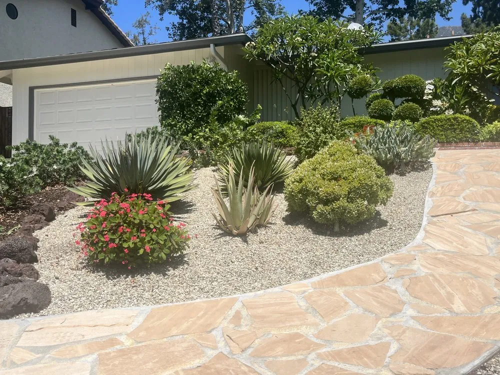Reliable yard cleanup service experts serving Pasadena, CA - Green Splendor Landscaping