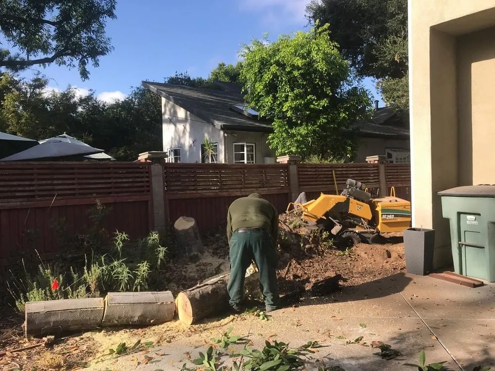 Professional yard cleanup service for beautiful yards in Pasadena, CA by Green Splendor Landscaping