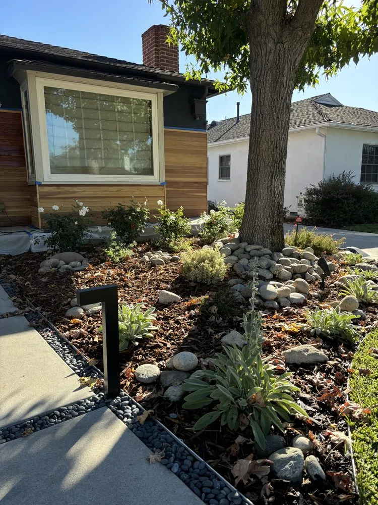 Affordable landscaping services in Pasadena, CA - Green Splendor Landscaping
