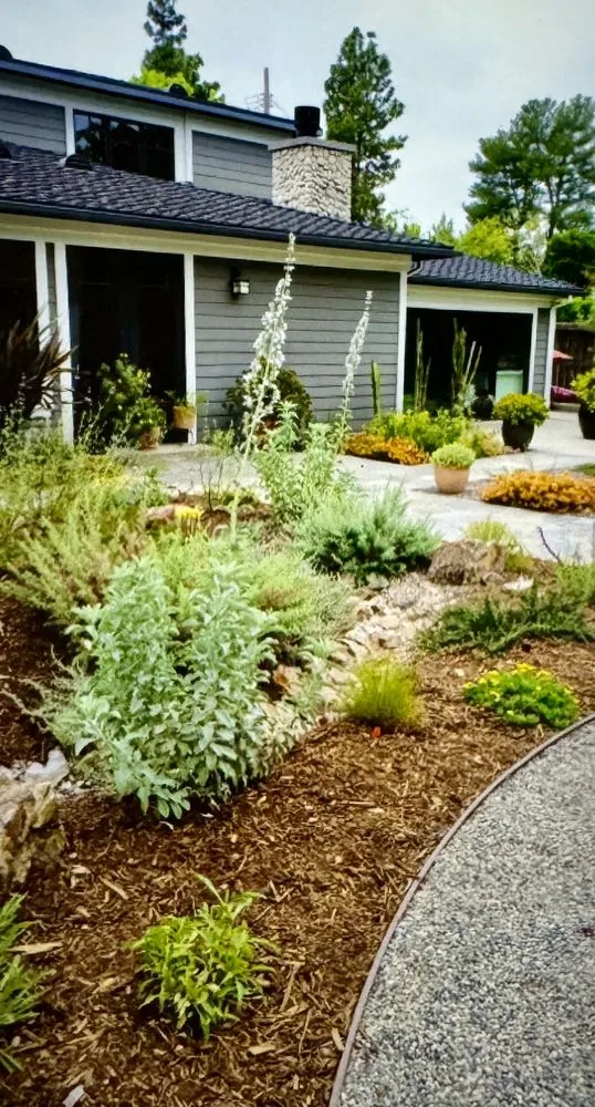 Local yard cleanup service in Pasadena, CA - Green Splendor Landscaping