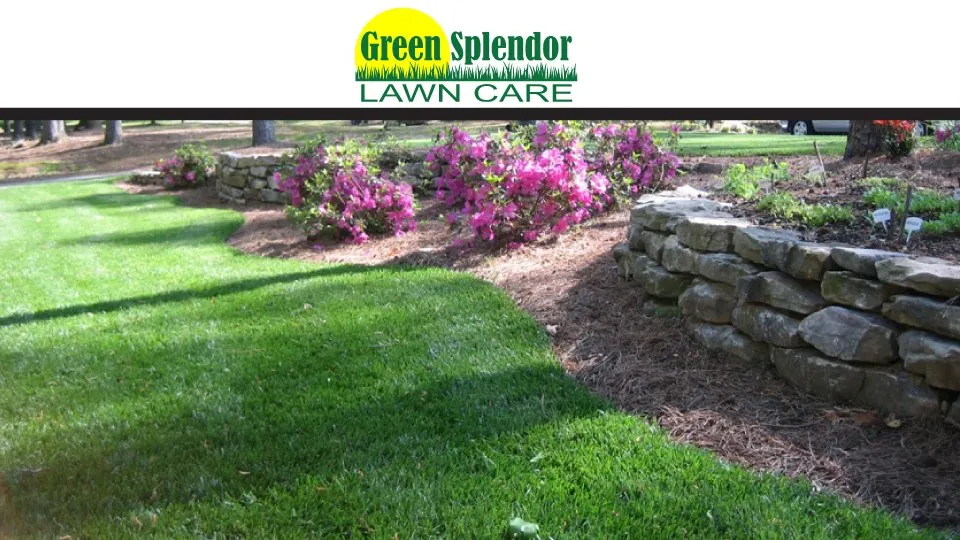 Local lawn care service in Monroe, GA by Green Splendor Lawn Care