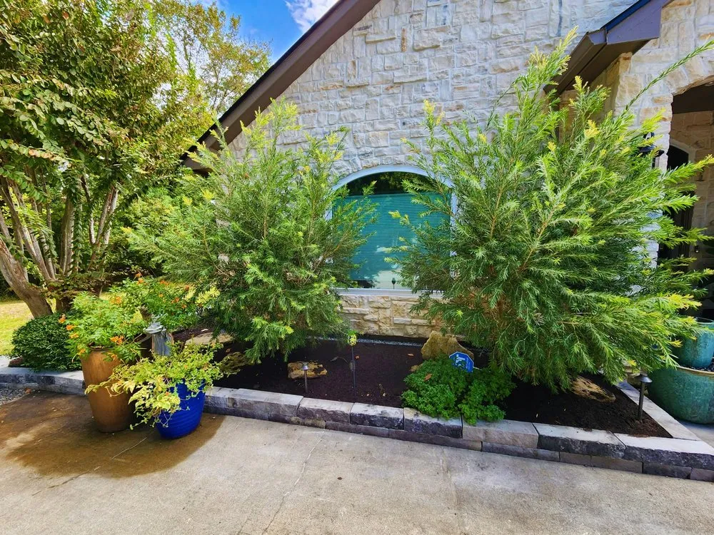 Affordable landscape installation for year-round maintenance across The Woodlands, TX - Green Springs Landscape