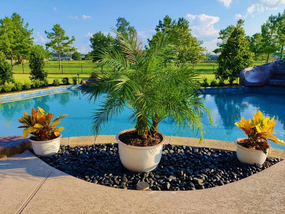 Expert yard maintenance for beautiful yards in The Woodlands, TX by Green Springs Landscape