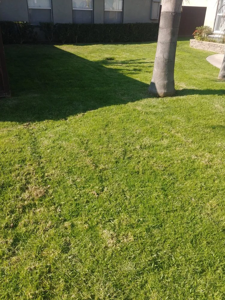 Reliable residential landscaping in Santa Fe Springs, CA - Green Sprouts