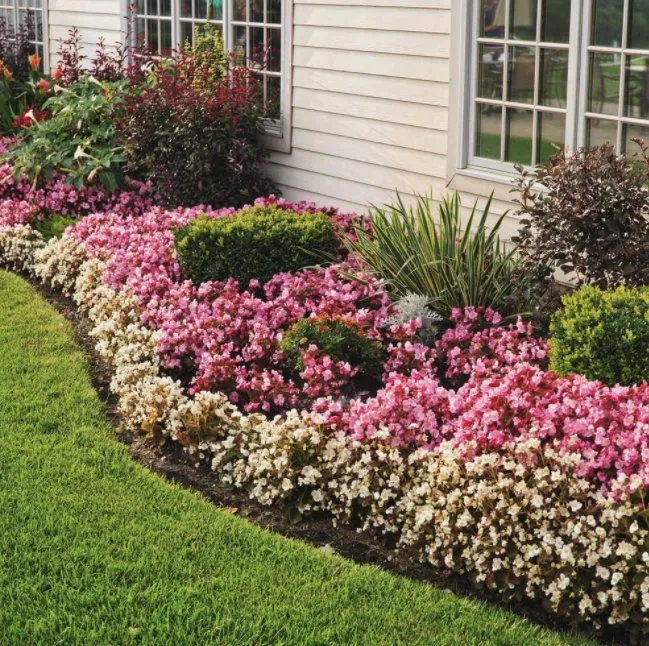 Affordable landscaping services in Miramar, FL - Green Square Lawn