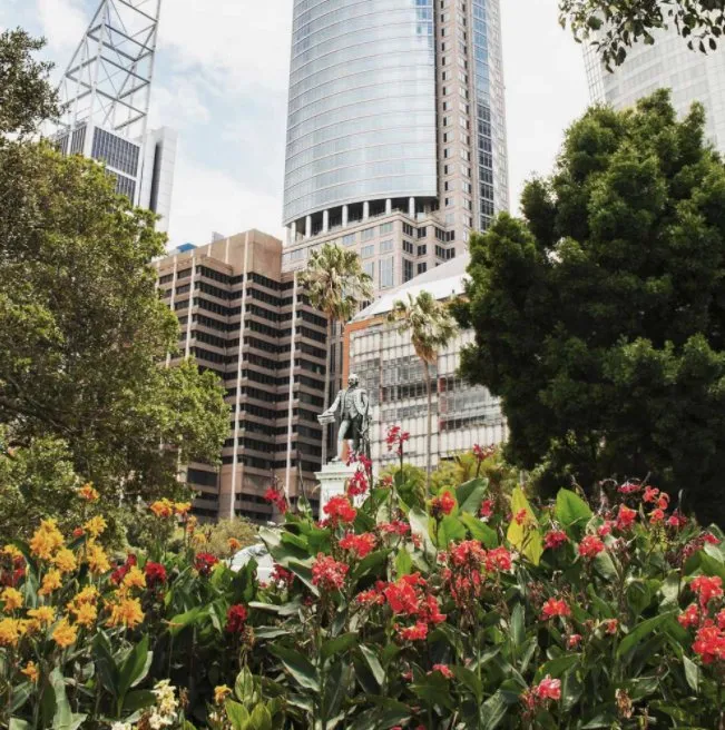 Expert landscape design for year-round maintenance across Miramar, FL - Green Square Lawn