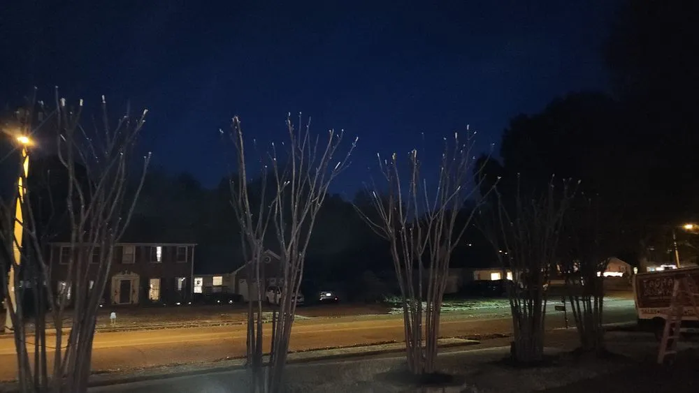 Local yard maintenance experts serving Nesbit, MS - Green Star Gloves