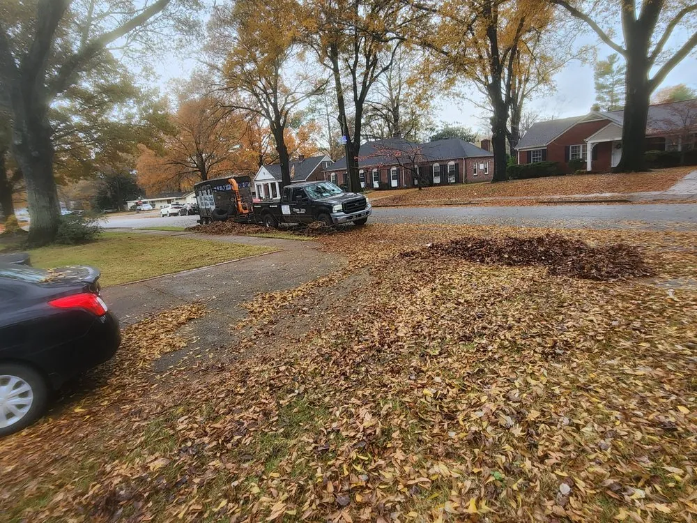 Professional landscape design in Nesbit, MS by Green Star Gloves