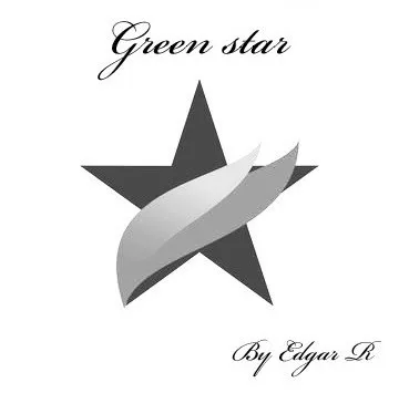 Local residential landscaping in Albany, NY - Green Star Landscaping And Masonry