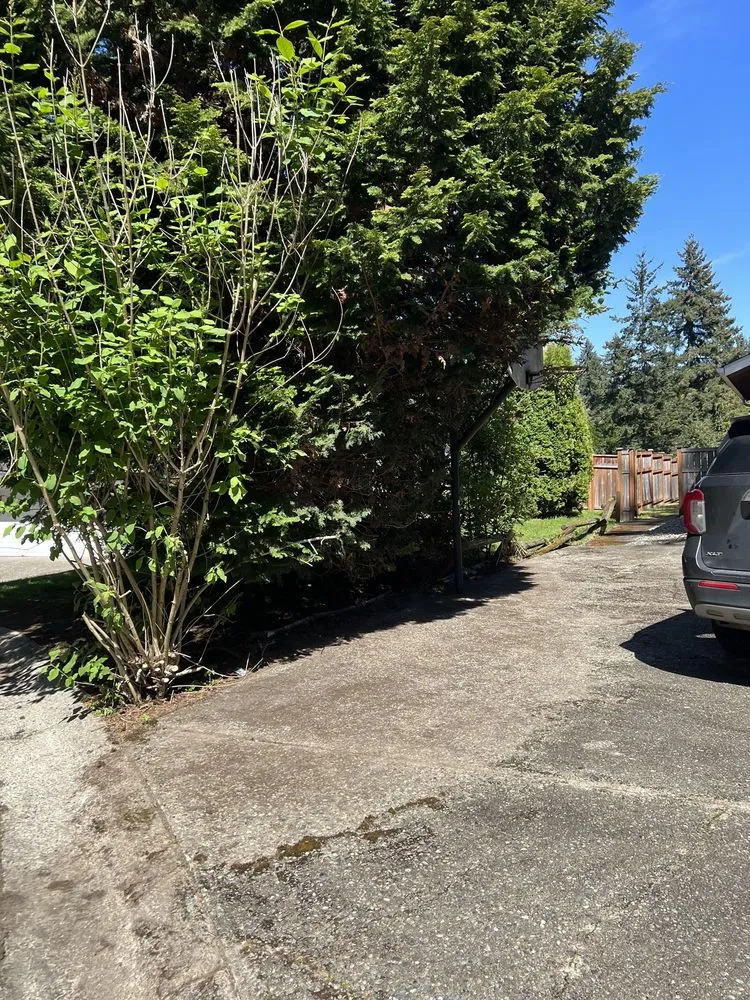 Professional outdoor landscaping for outdoor upgrades in Des Moines, WA by Green Star Landscaping