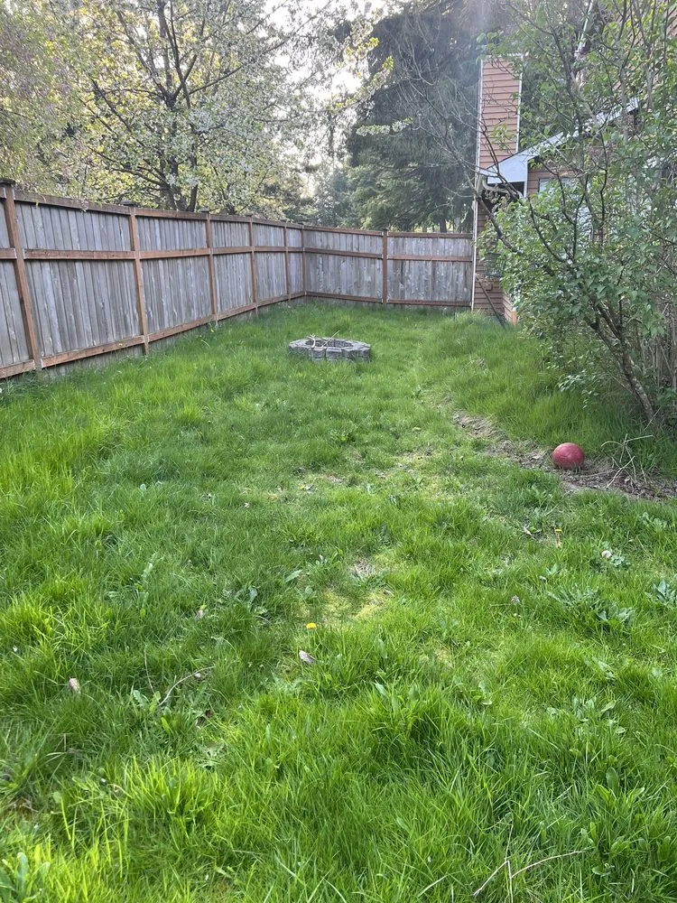 Reliable yard maintenance in Des Moines, WA - Green Star Landscaping