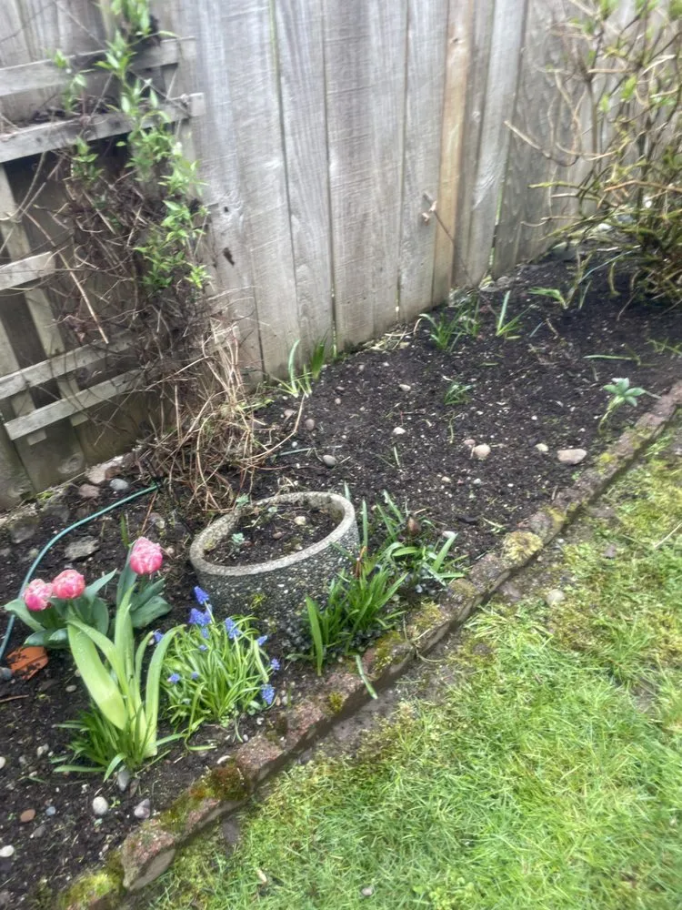 Top-rated landscape installation near you across Des Moines, WA - Green Star Landscaping