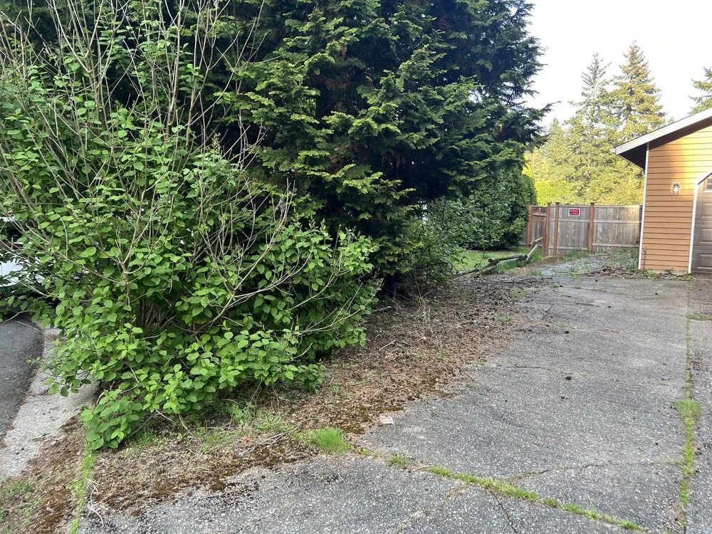 Trusted yard maintenance in Des Moines, WA - Green Star Landscaping