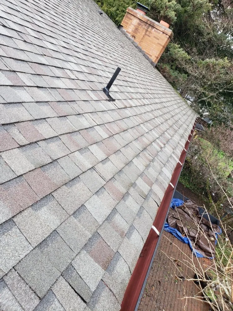 Custom outdoor landscaping for residential properties in Des Moines, WA by Green Star Landscaping