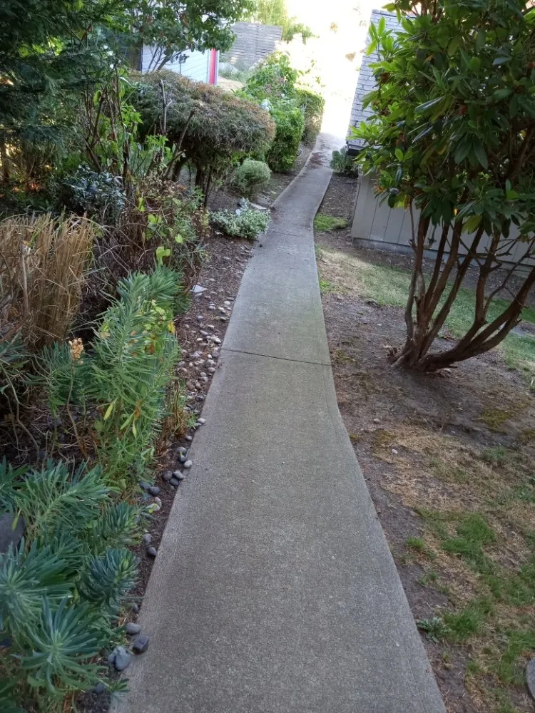 Top-rated landscape installation for residential properties in Des Moines, WA by Green Star Landscaping