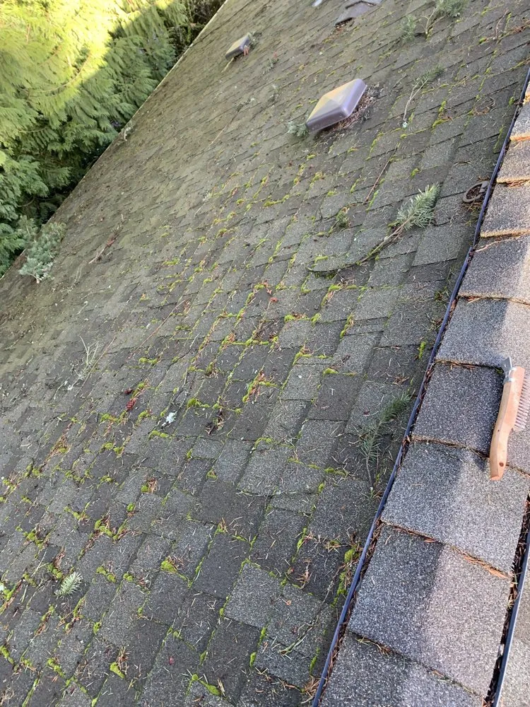 Trusted residential landscaping for residential properties across Des Moines, WA - Green Star Landscaping