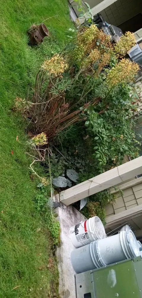 Affordable yard maintenance with custom design in Des Moines, WA by Green Star Landscaping