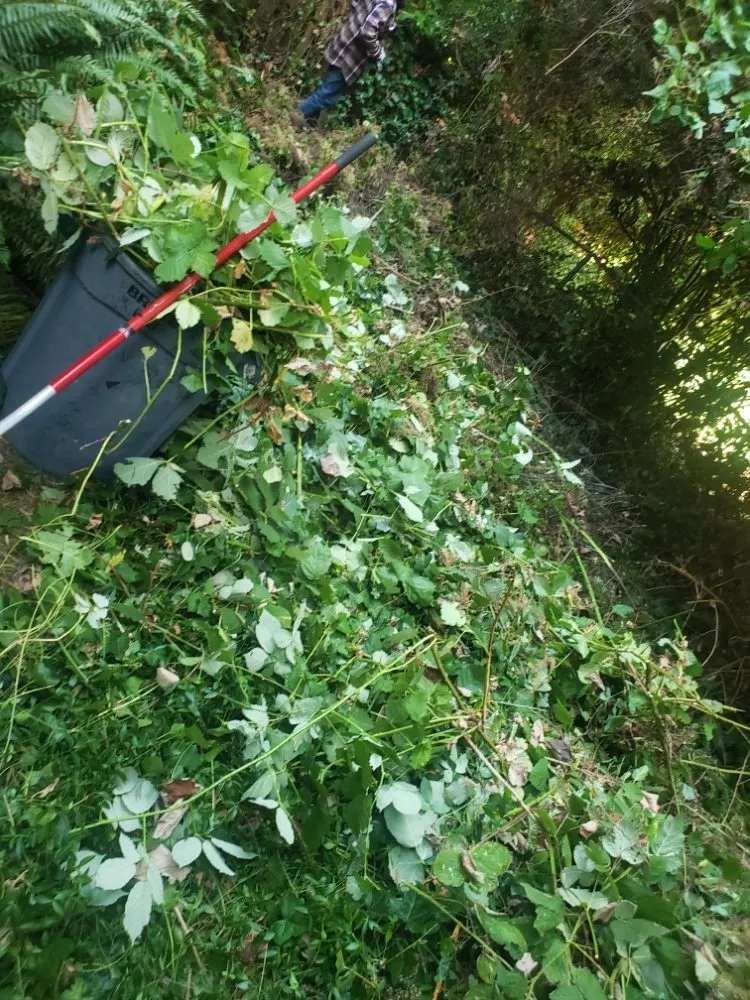 Expert residential landscaping in Des Moines, WA by Green Star Landscaping