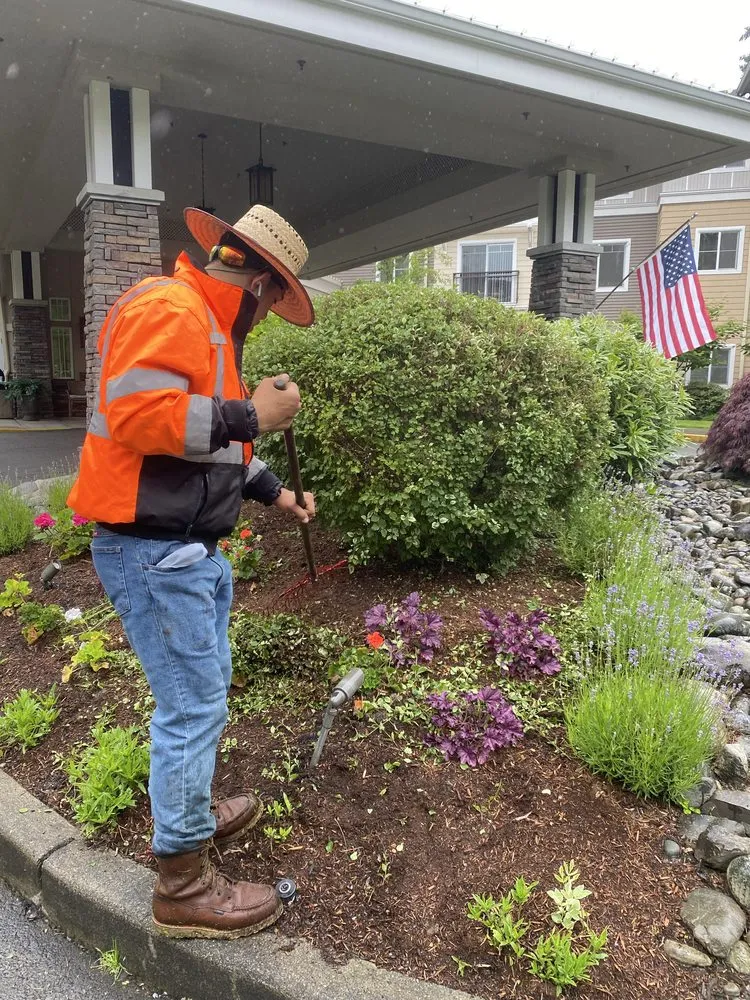Custom yard cleanup service near you across Lynnwood, WA - Green State Landscaping