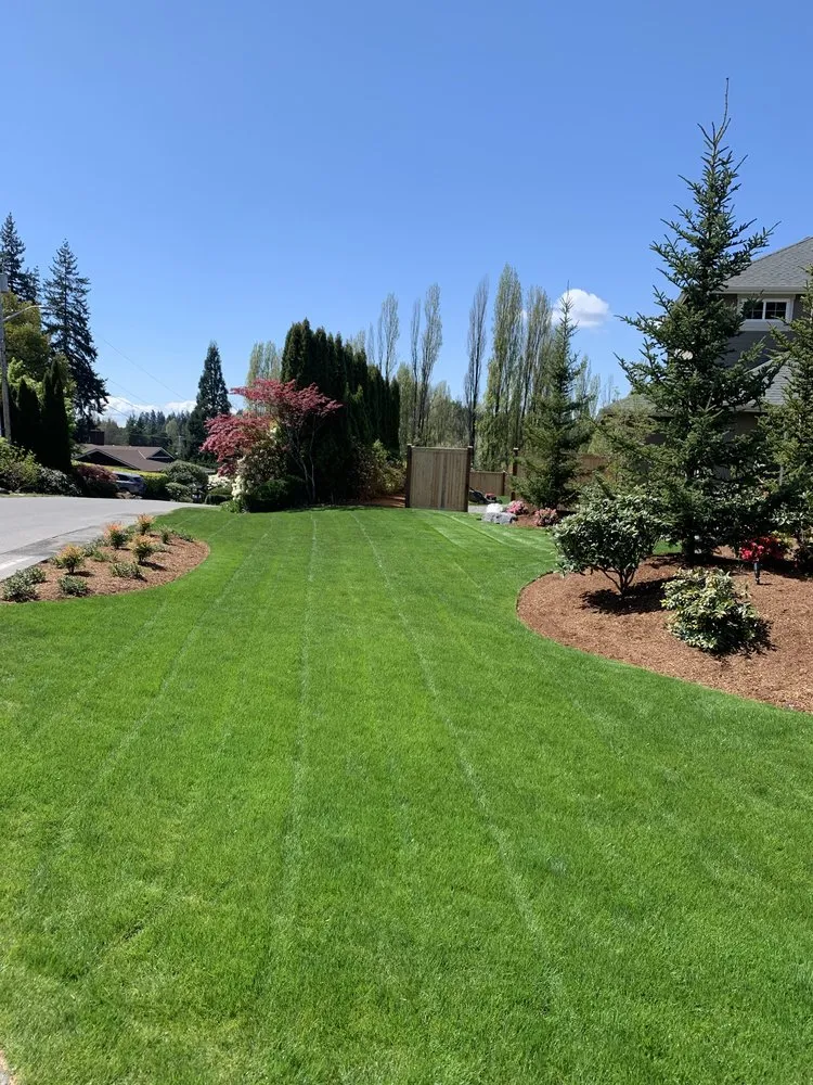 Expert landscape design in Lynnwood, WA - Green State Landscaping