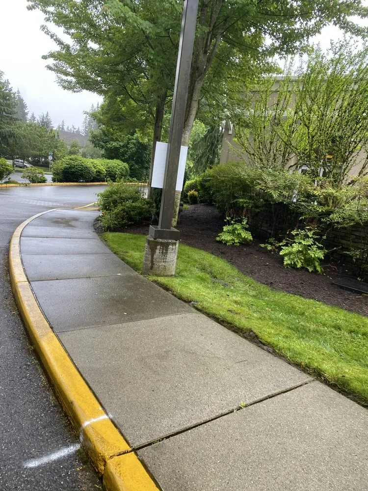 Custom landscaping services for beautiful yards across Lynnwood, WA - Green State Landscaping