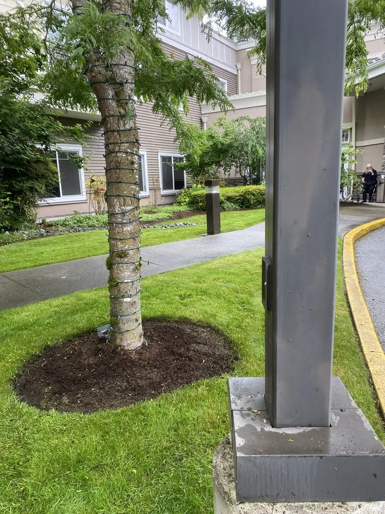 Reliable landscape installation in Lynnwood, WA - Green State Landscaping