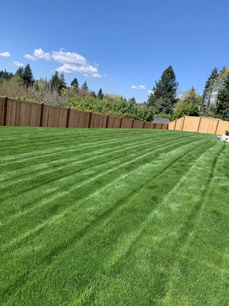 Expert landscape design for beautiful yards across Lynnwood, WA - Green State Landscaping