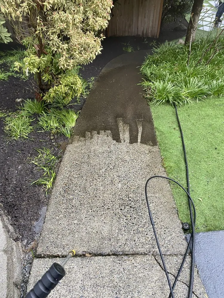 Top-rated yard maintenance for homes in Lynnwood, WA by Green State Landscaping