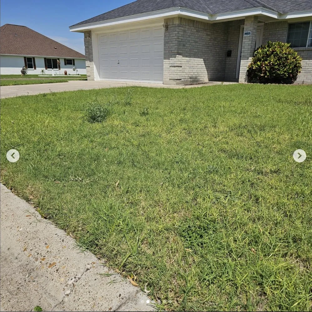 Custom yard cleanup service for outdoor upgrades across Mission, TX - Green Steel Lawn Care