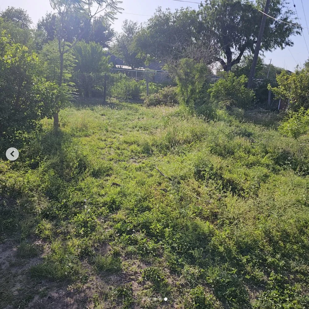 Top-rated garden landscaping experts serving Mission, TX - Green Steel Lawn Care