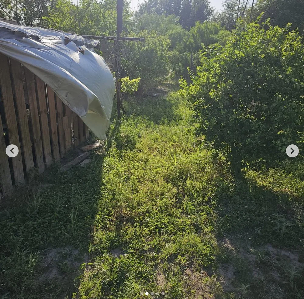 Local yard cleanup service for residential properties across Mission, TX - Green Steel Lawn Care