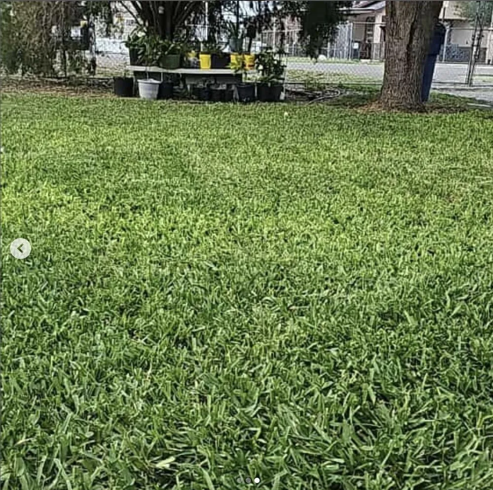 Professional lawn mowing service experts serving Mission, TX - Green Steel Lawn Care