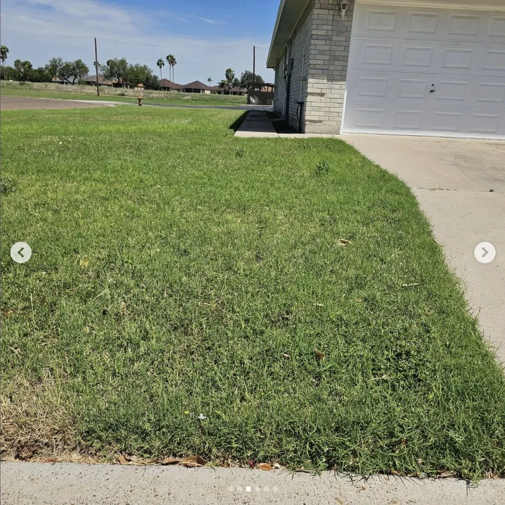 Top-rated lawn care service near you in Mission, TX by Green Steel Lawn Care