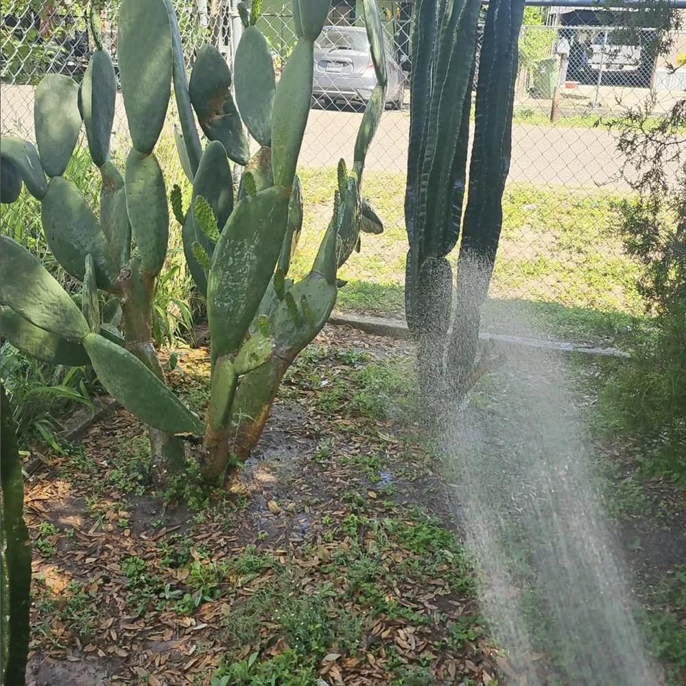 Affordable lawn care service for residential properties across Mission, TX - Green Steel Lawn Care