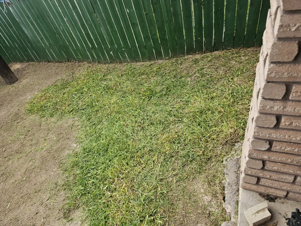 Top-rated outdoor landscaping near you across Mission, TX - Green Steel Lawn Care