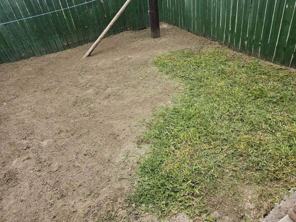 Top-rated residential landscaping with custom design across Mission, TX - Green Steel Lawn Care